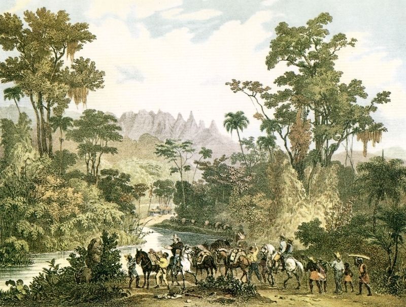 Serra dos Orgãos in Rio de Janeiro state by Johann Moritz Rugendas, between 1820 and 1825 (Source: Wikipedia)